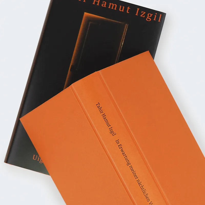 Produktansicht: In Erwartung meiner nächtlichen Verhaftung (Gebundene Ausgabe)