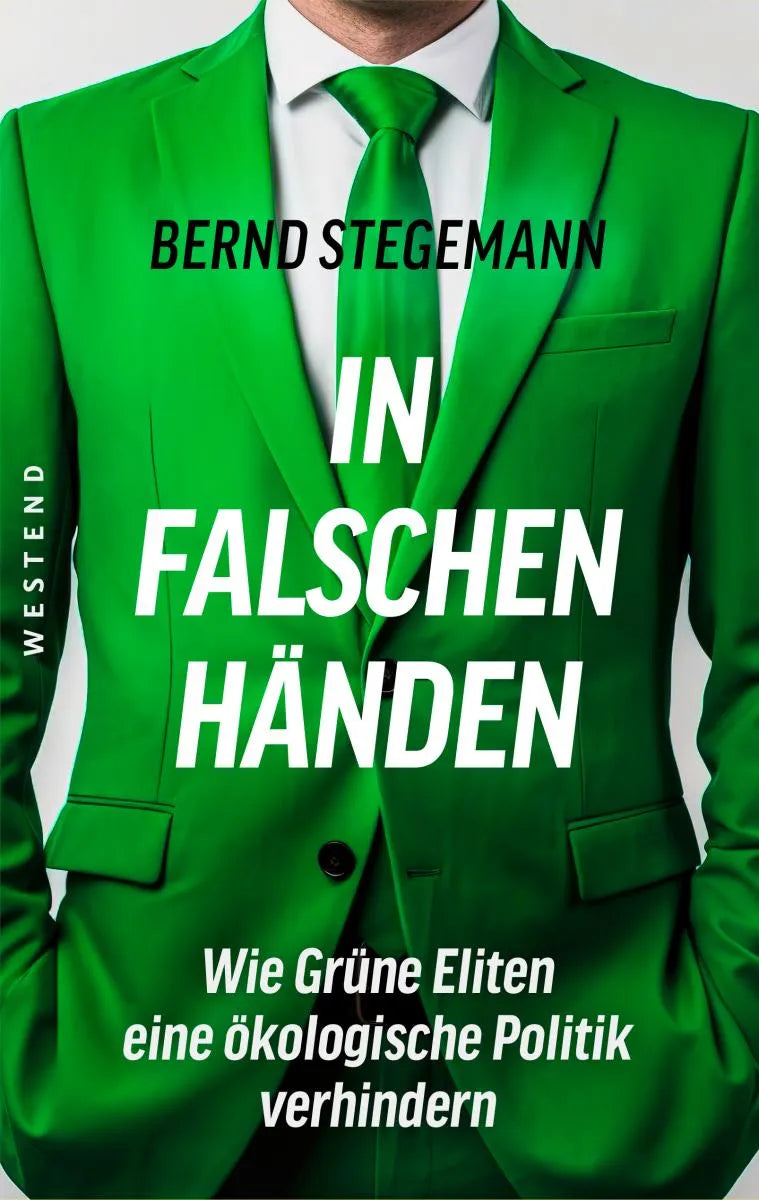 Cover: In falschen Händen (E-Book) von Bernd Stegemann
