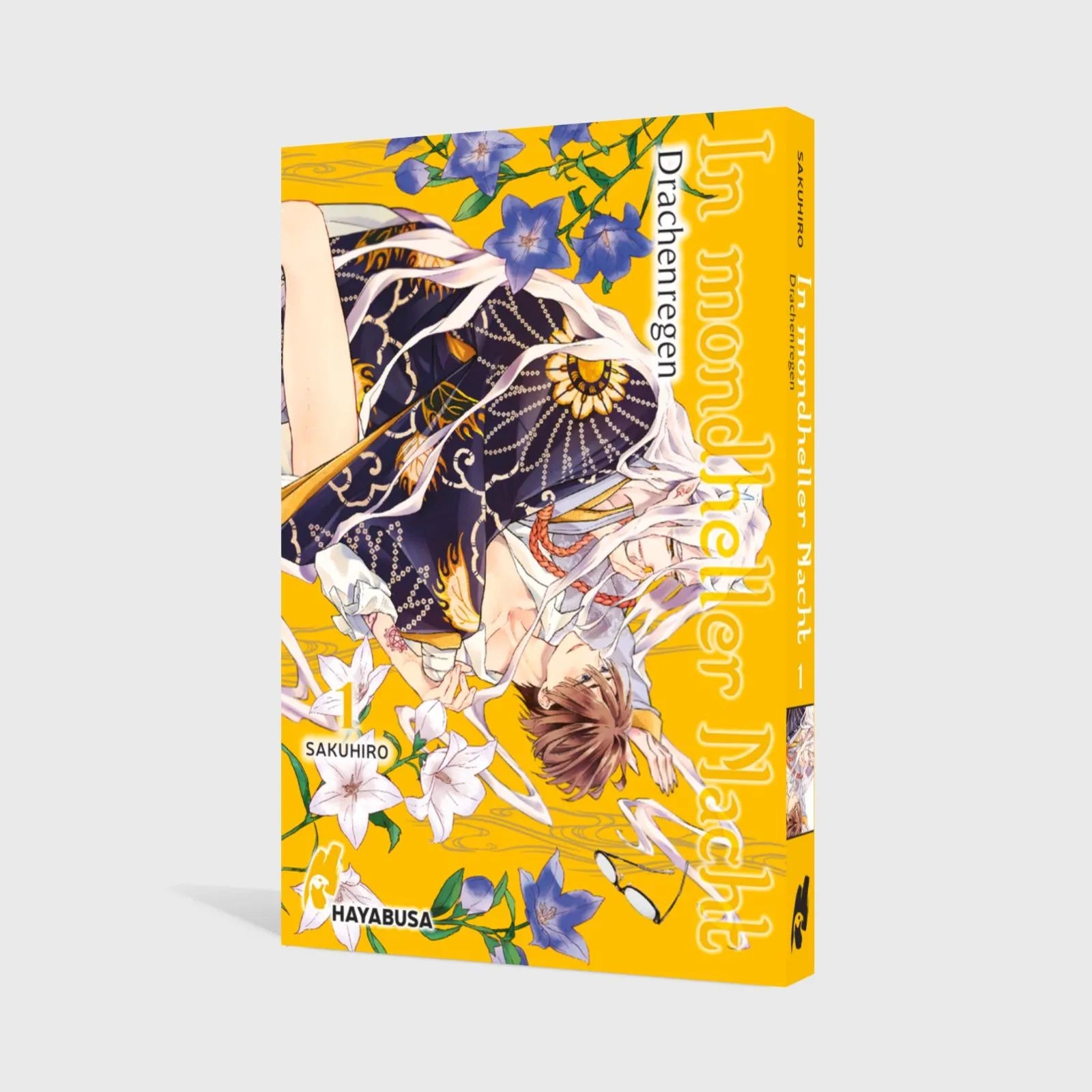 Produktansicht: In mondheller Nacht 1 – Drachenregen (Taschenbuch)