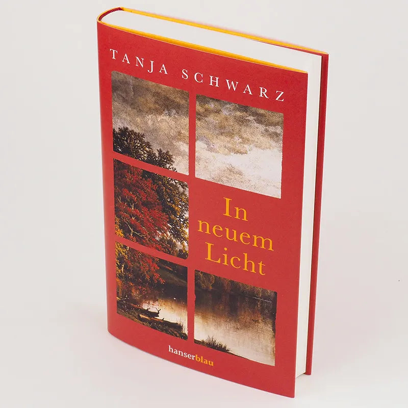 Abbildung von 'In neuem Licht'