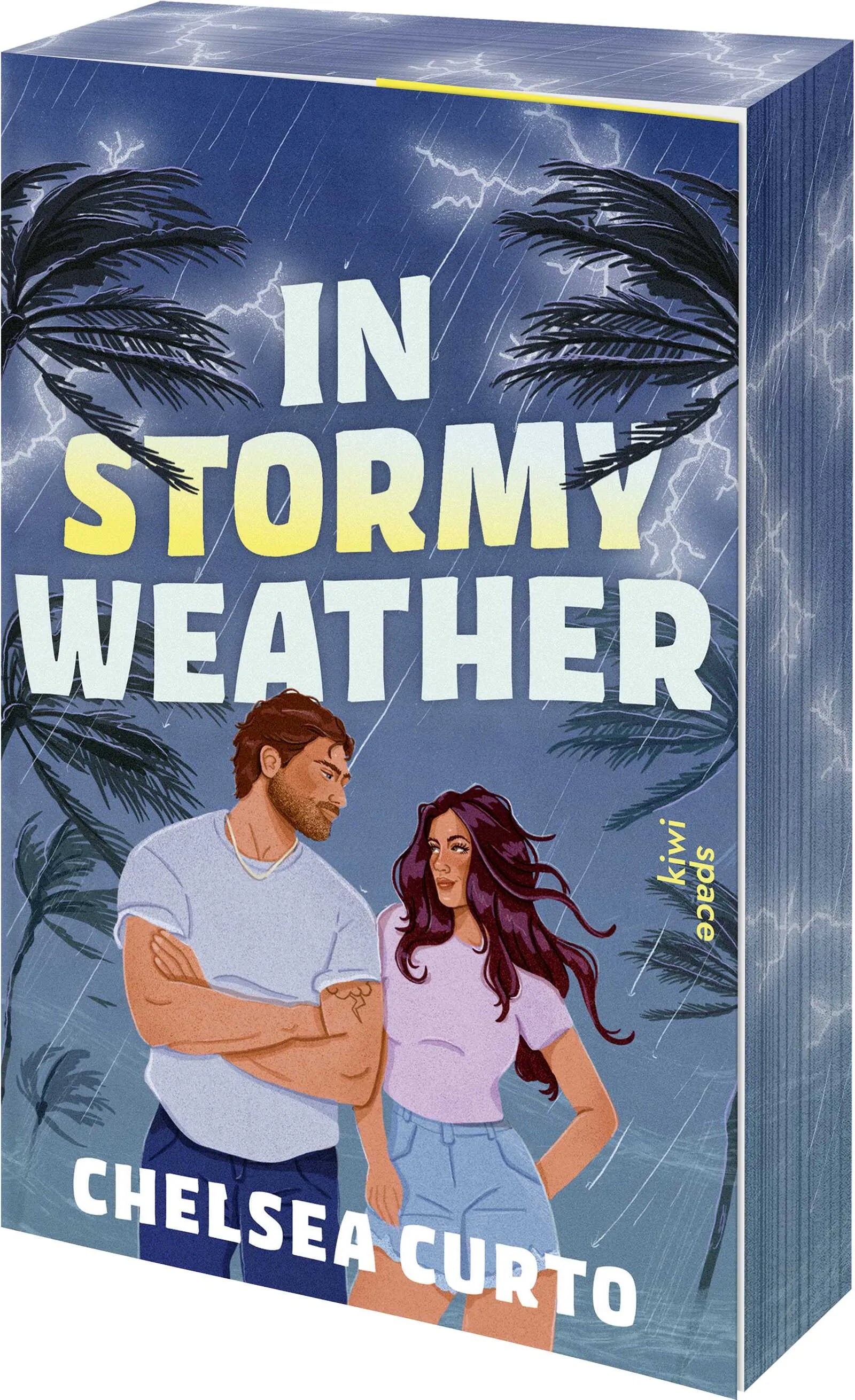 Cover: In Stormy Weather (Paperback) von Chelsea Curto