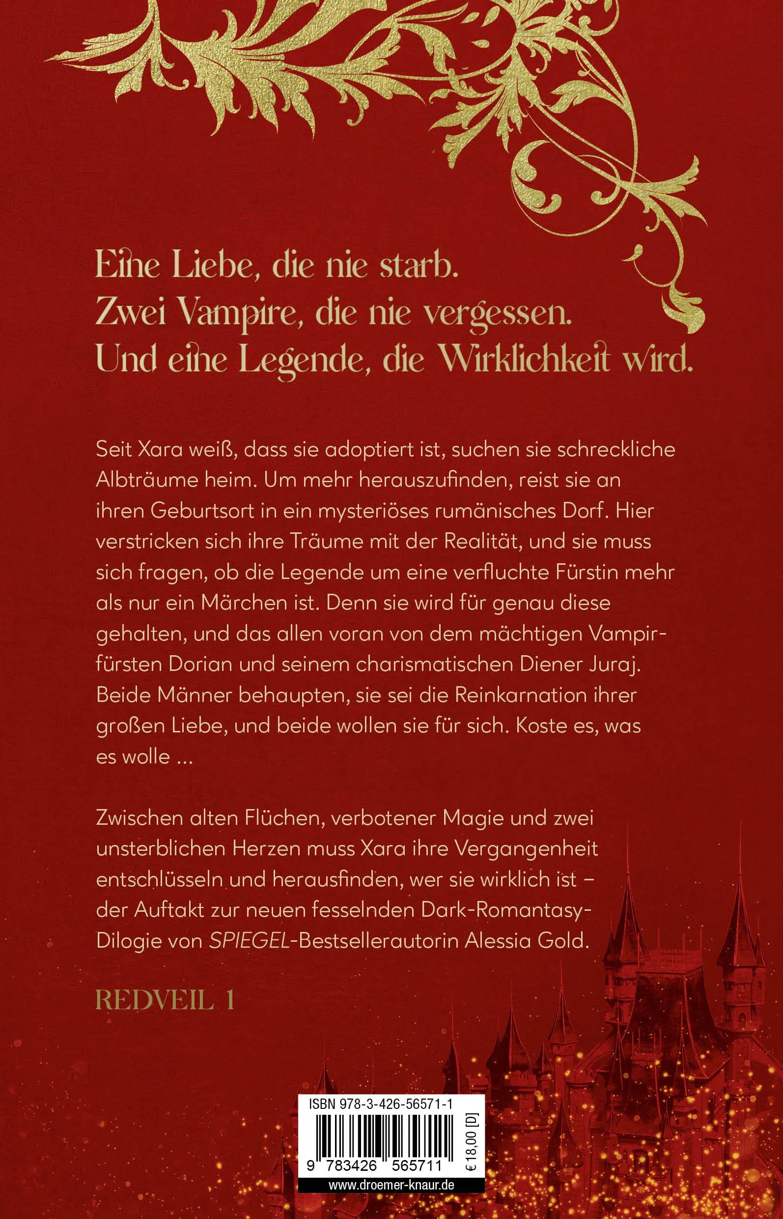 Buchrückseite von 'In the Shadows we wait' mit Klappentext - Paperback