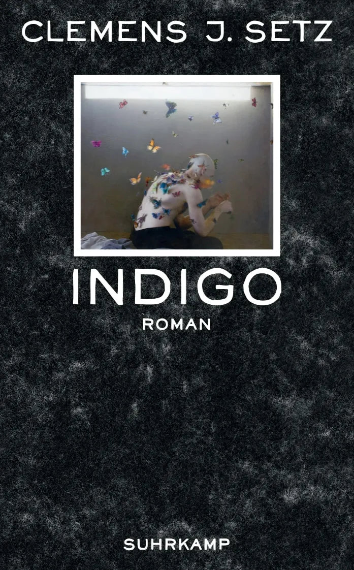 Buchcover von 'Indigo' - Taschenbuch von Clemens J. Setz