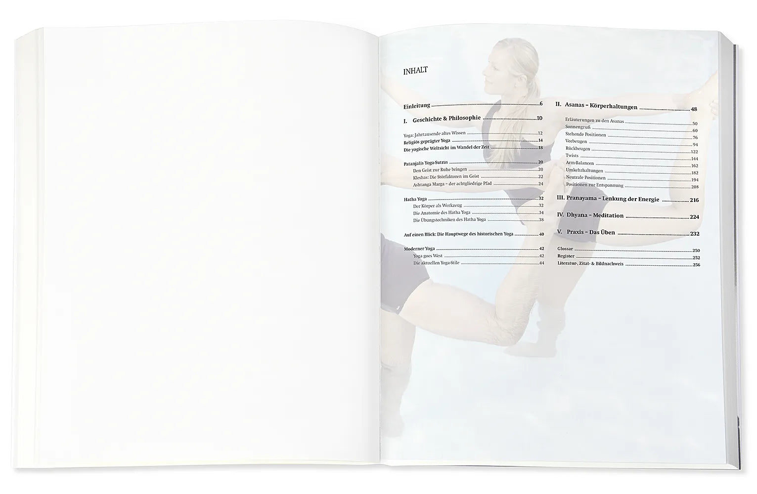 Produktansicht: Yoga - Das große Praxisbuch für Einsteiger & Fortgeschrittene (Taschenbuch)