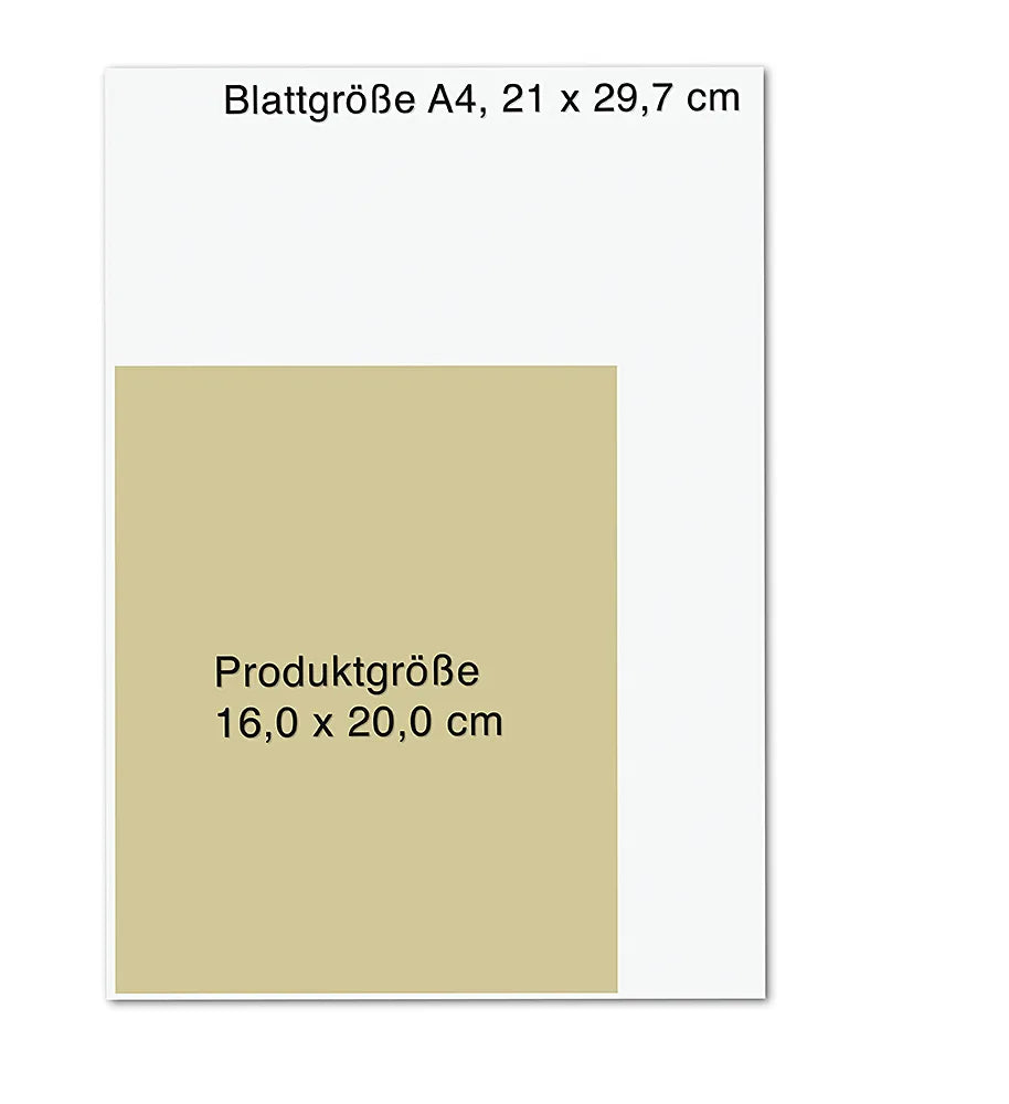 Produktansicht: Qigong (Paperback)