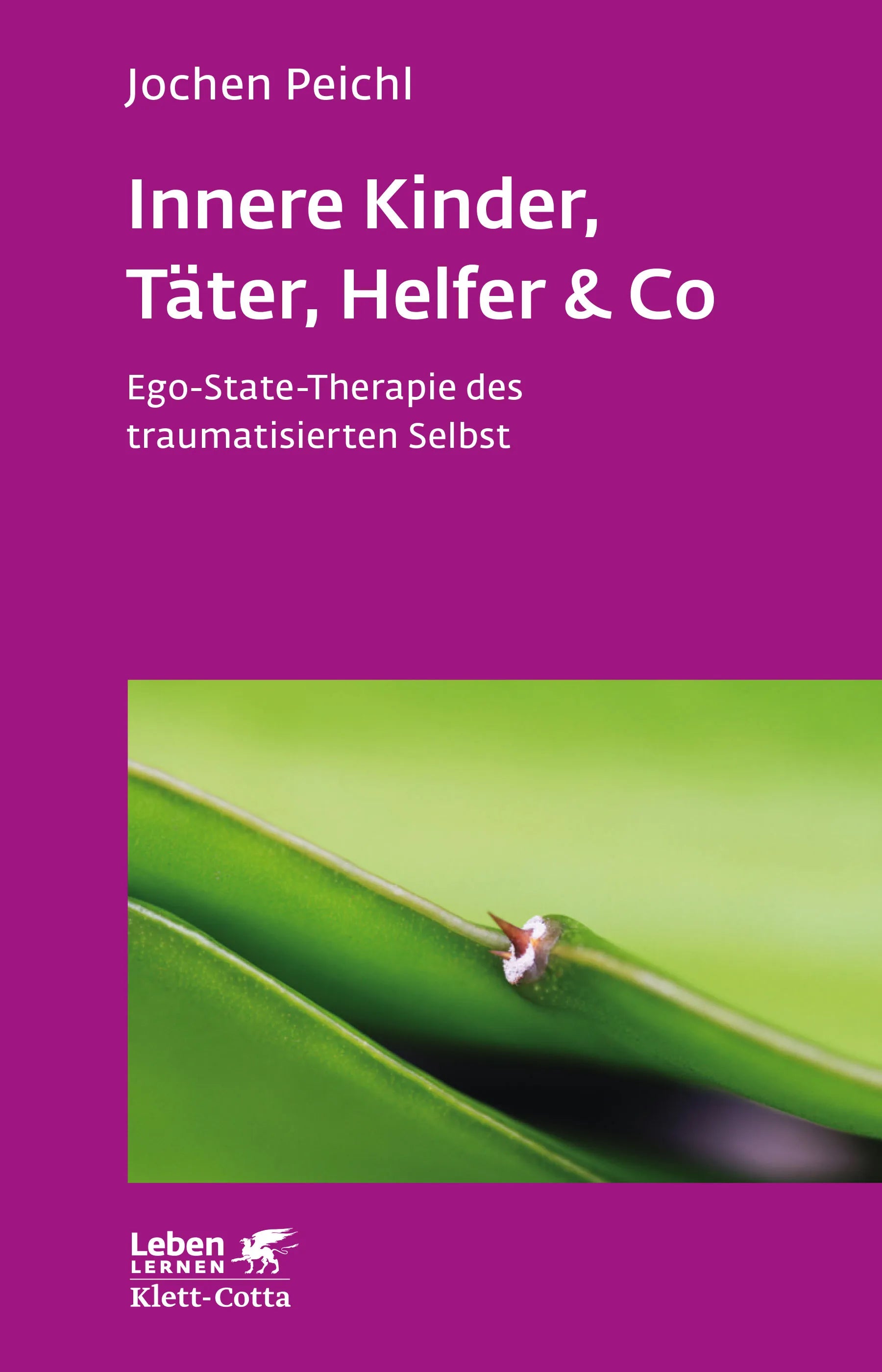 Buchcover von 'Innere Kinder, Täter, Helfer & Co' - Paperback von Jochen Peichl