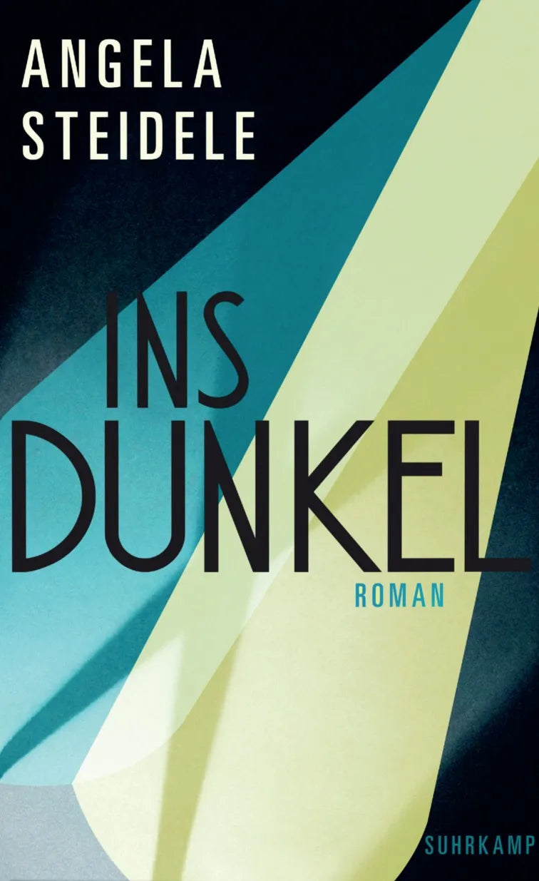 Cover: Ins Dunkel (Hardcover) von Angela Steidele