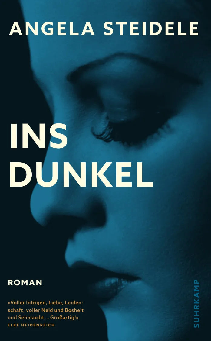 Cover: Ins Dunkel (Taschenbuch) von Angela Steidele