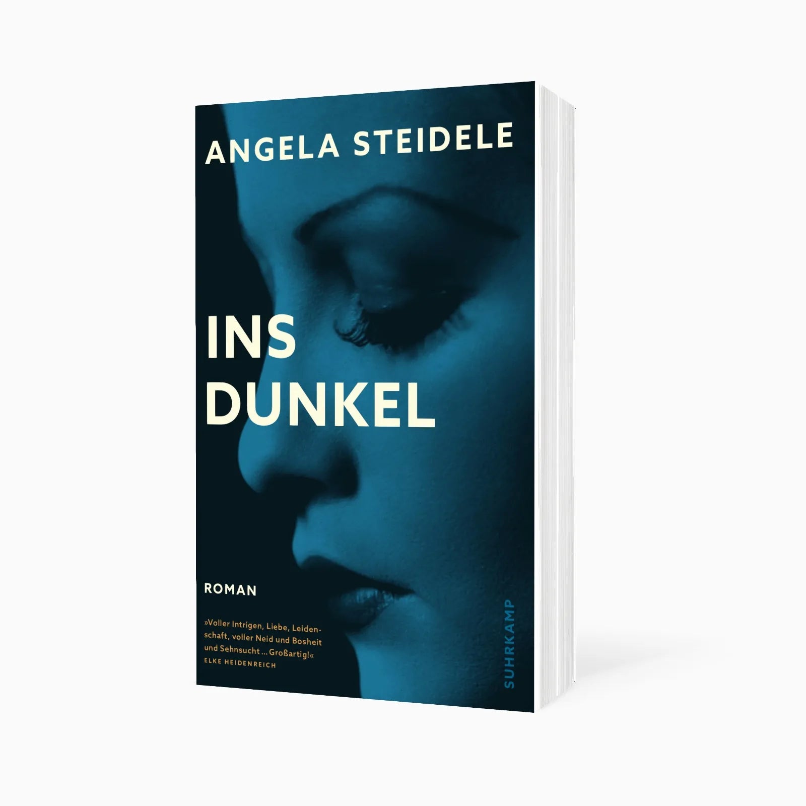 Detailansicht: Ins Dunkel (Taschenbuch)