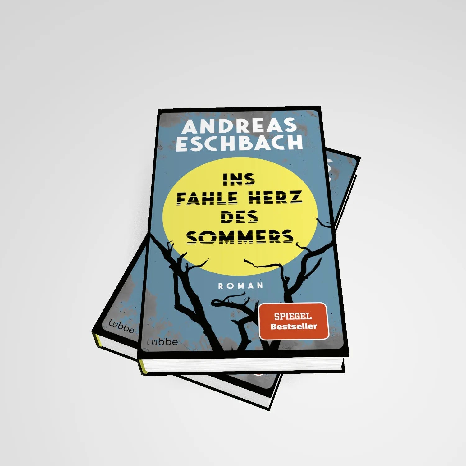 Detailansicht: Ins fahle Herz des Sommers (Hardcover)