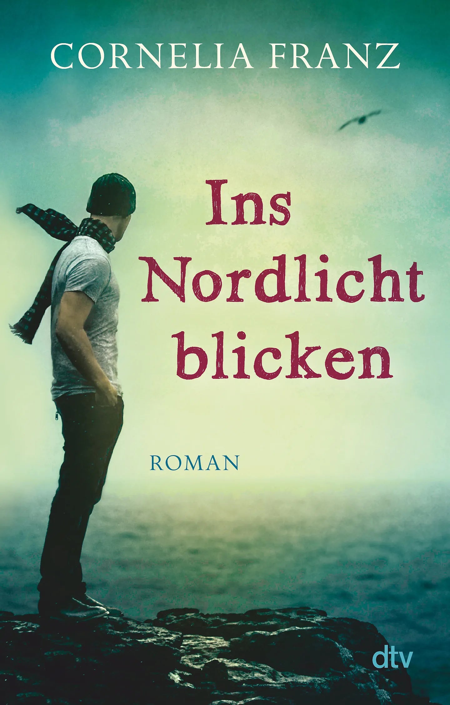 Buchcover von 'Ins Nordlicht blicken' - Taschenbuch von Cornelia Franz