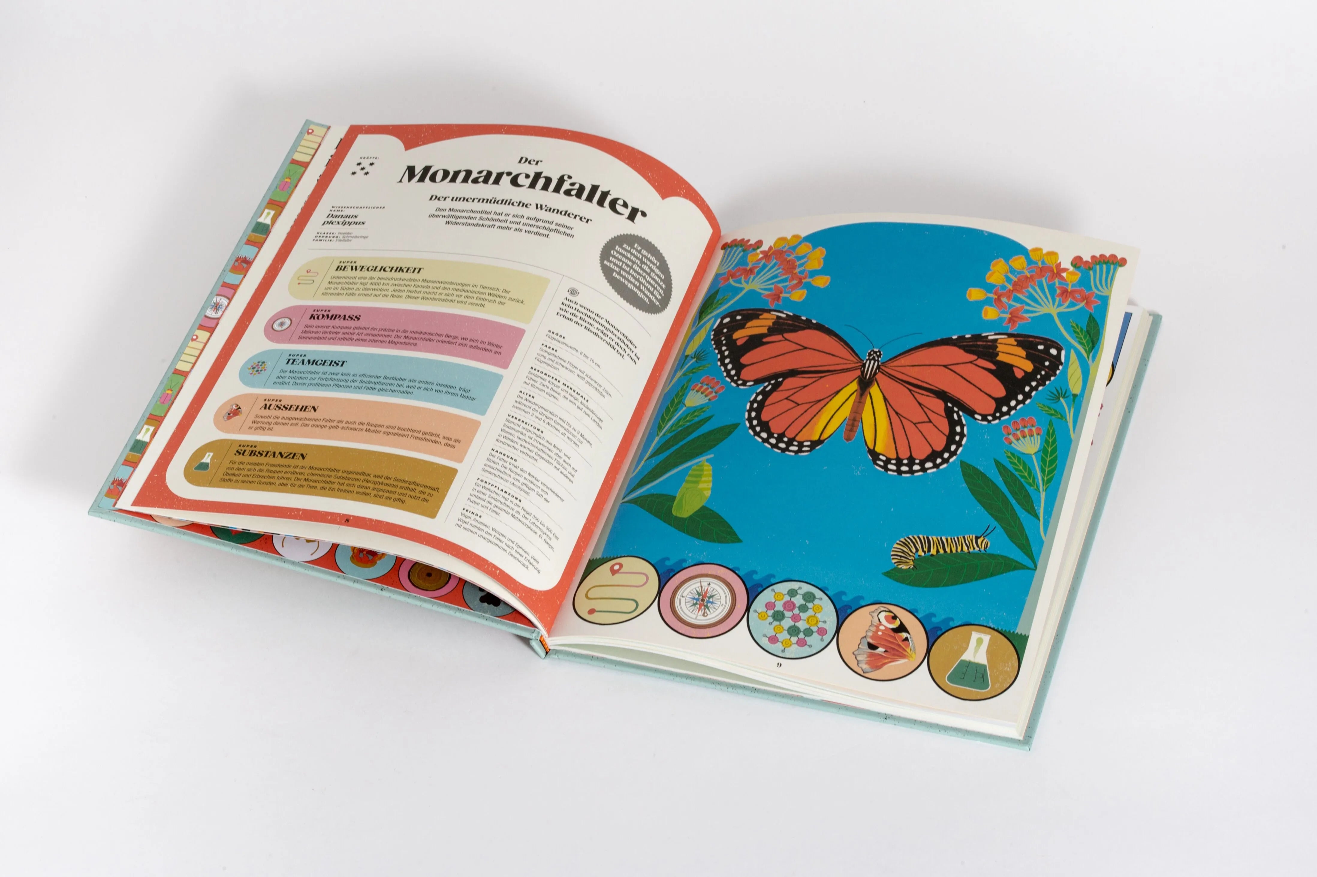 Detailansicht: Insekten und ihre Superkräfte (Hardcover)