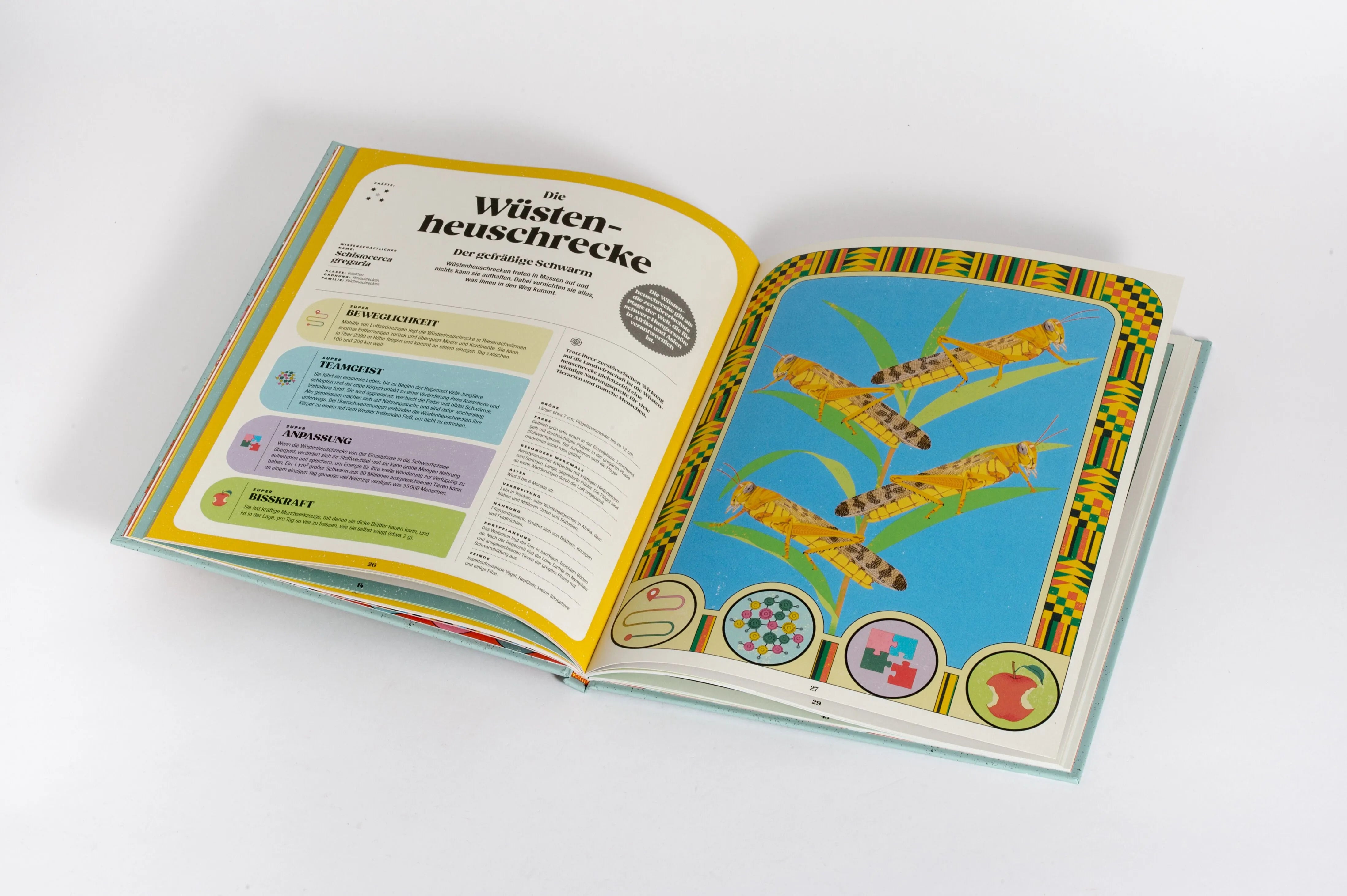 Detailansicht: Insekten und ihre Superkräfte (Hardcover)