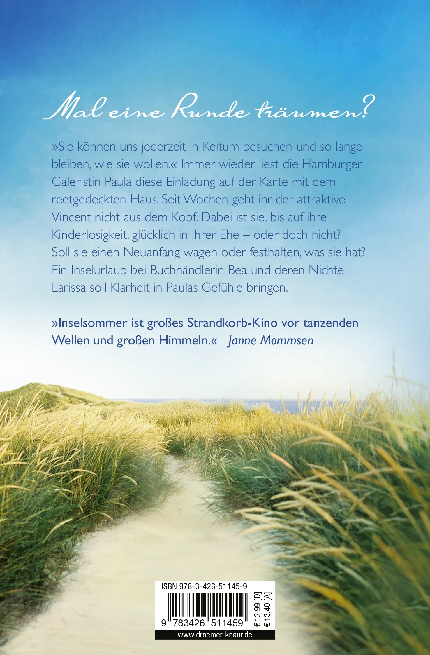 Buchrückseite von 'Inselsommer' mit Klappentext - Taschenbuch