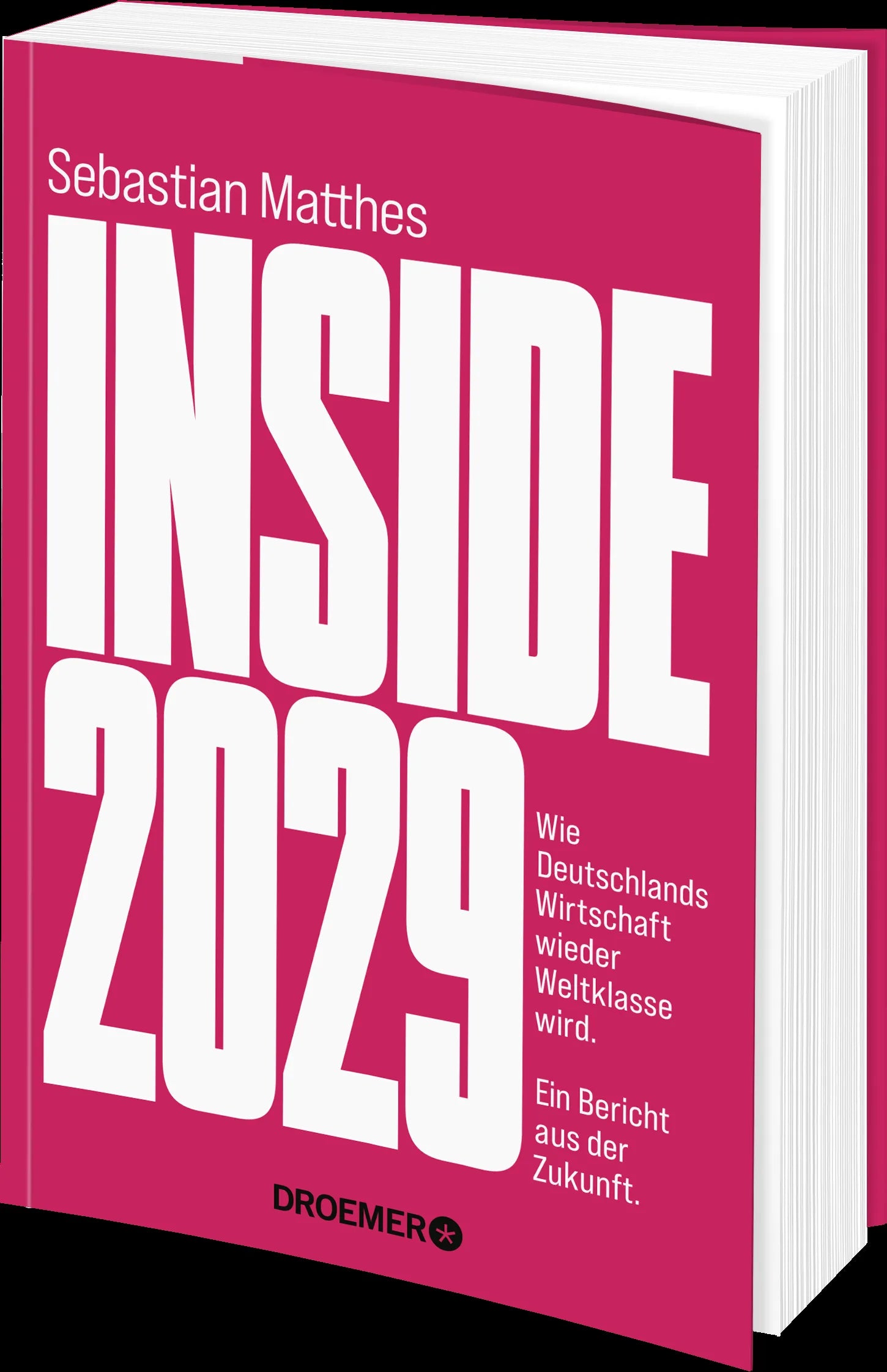 Detailansicht: Inside 2029 (Paperback)