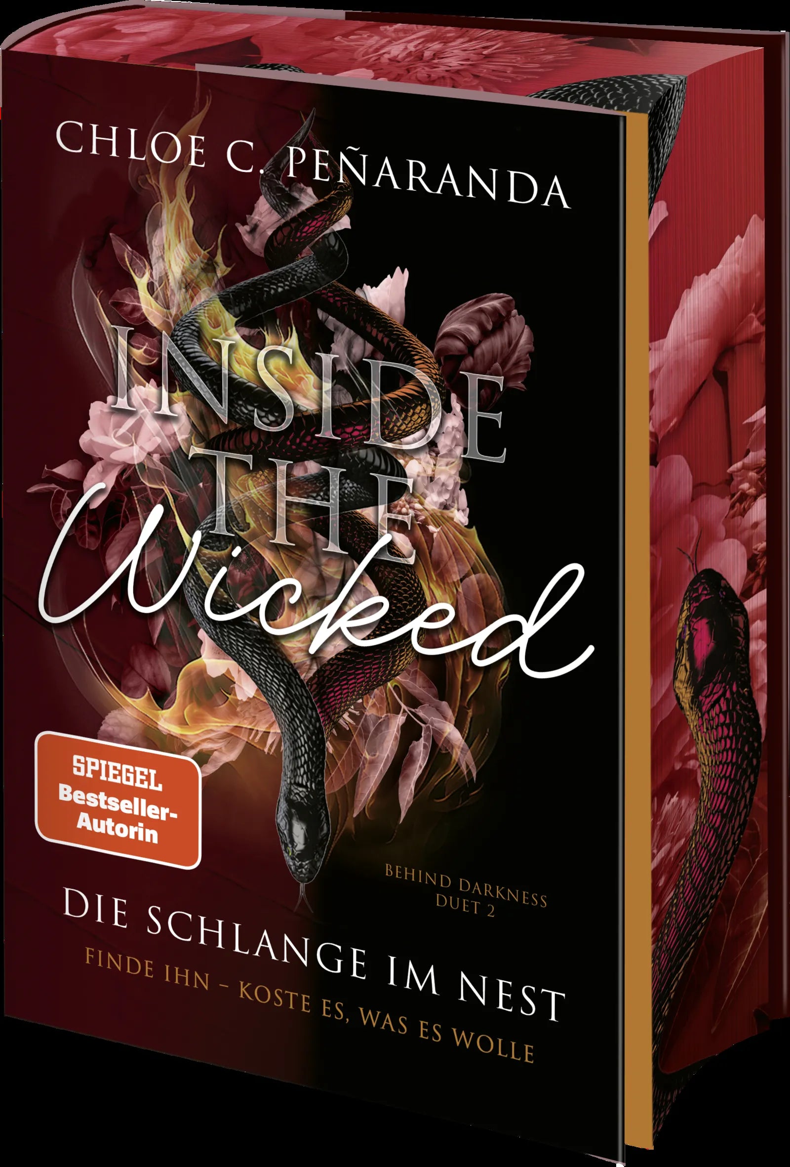 Detailansicht: Inside the Wicked. Die Schlange im Nest (Hardcover)