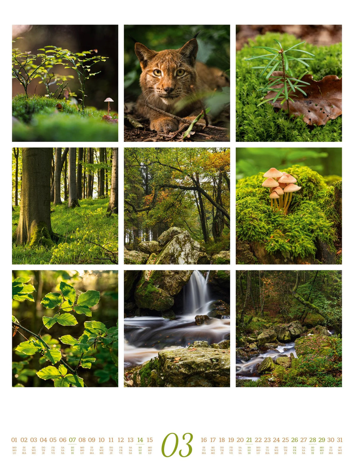 Inspiration Natur Kalender 2027 – Ansicht
