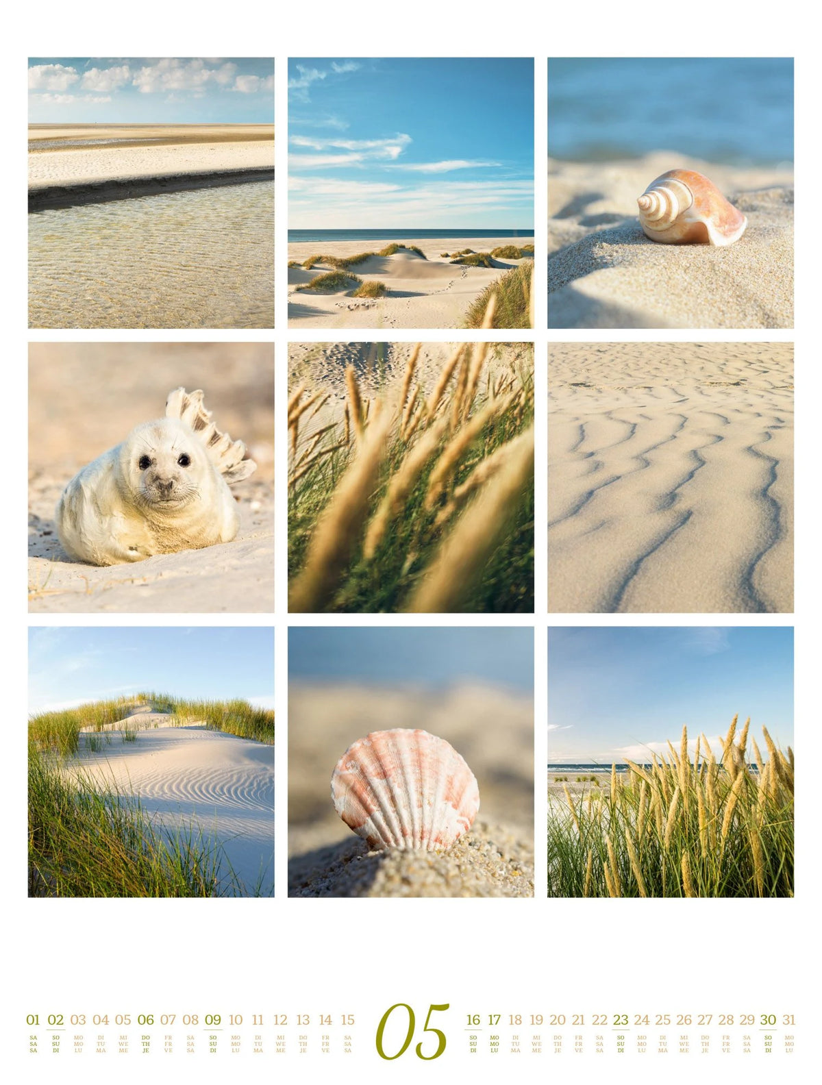 Inspiration Natur Kalender 2027 – Ansicht