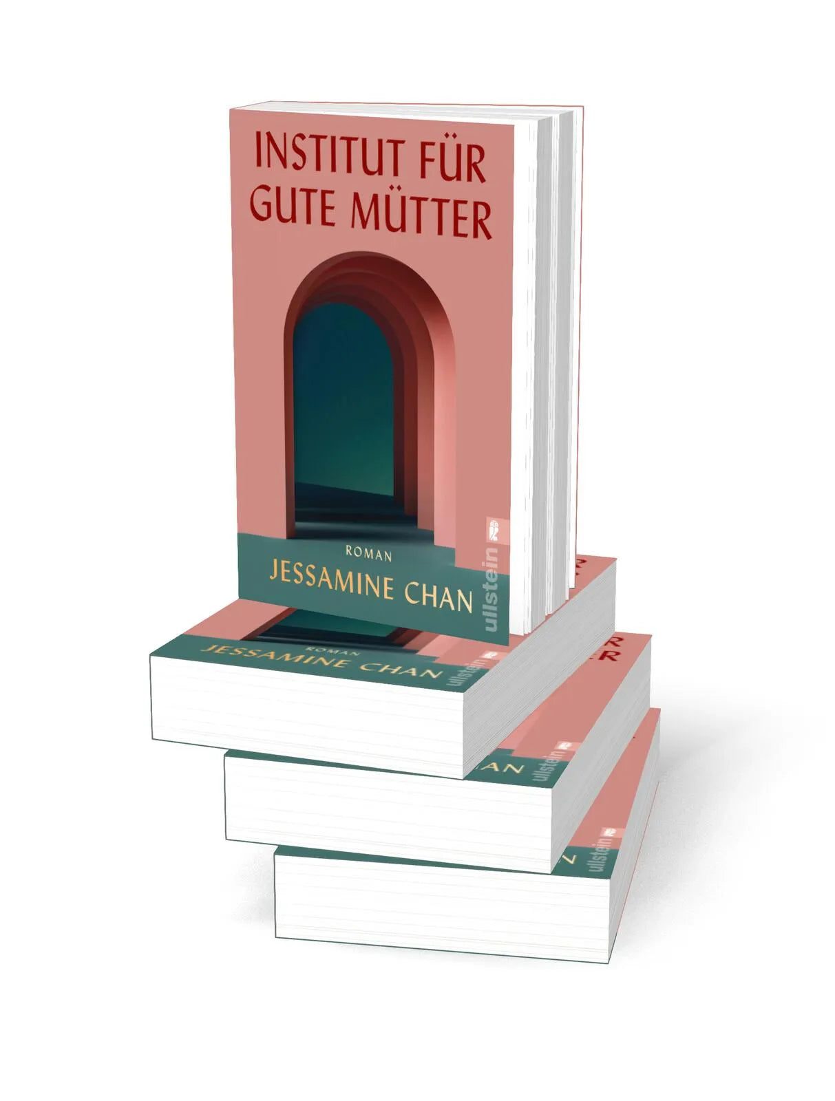 Detailansicht: Institut für gute Mütter (Taschenbuch)