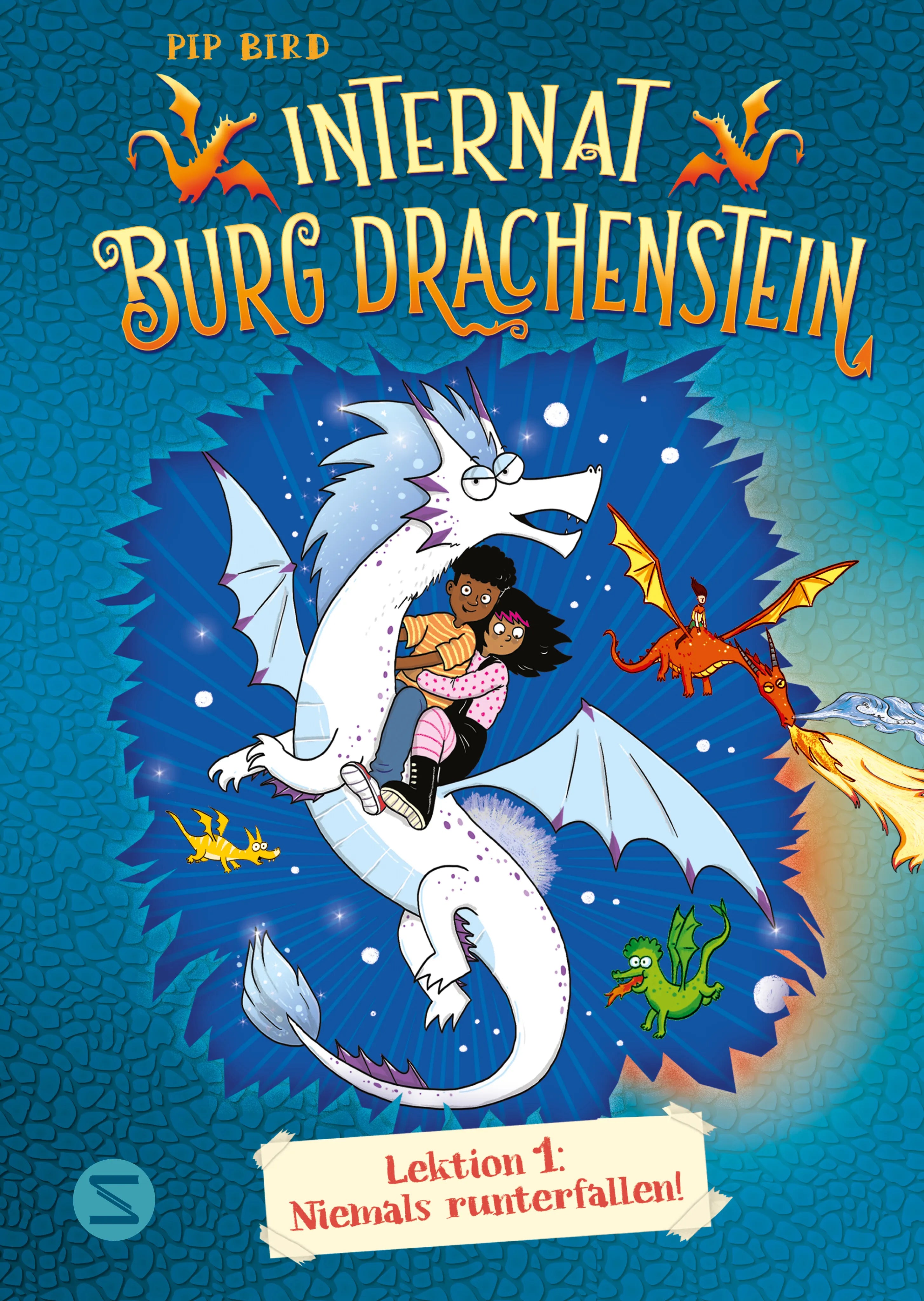Buchcover von 'Internat Burg Drachenstein. Drachenreiten Lektion 1: Niemals runterfallen!' - Gebundene Ausgabe von Pip Bird