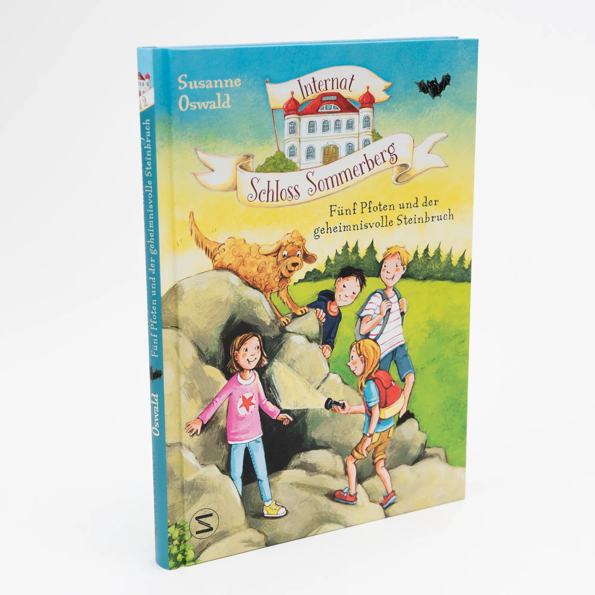 Produktansicht: Internat Schloss Sommerberg – Fünf Pfoten und der geheimnisvolle Steinbruch (Gebundene Ausgabe)