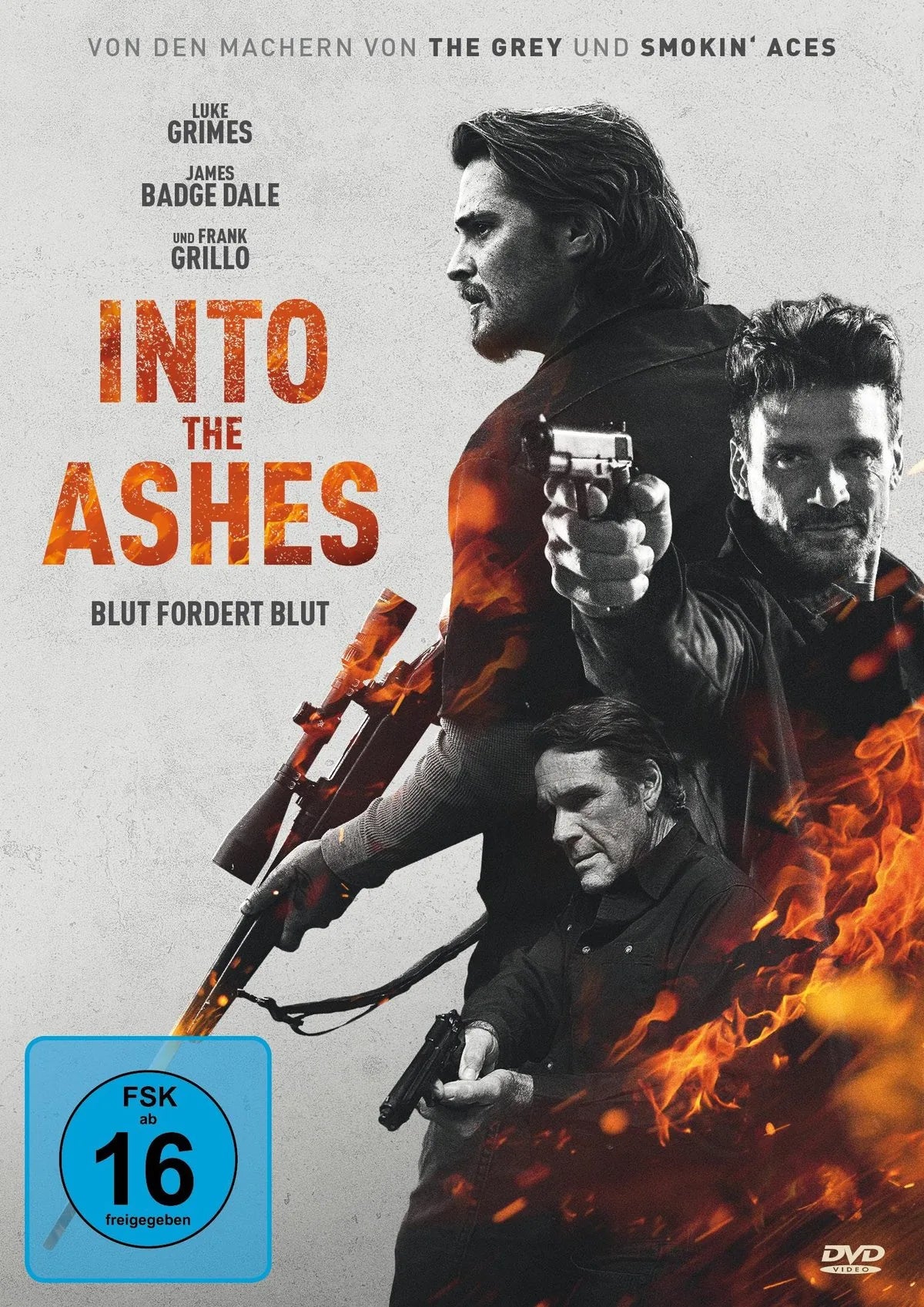 Into the Ashes - DVD