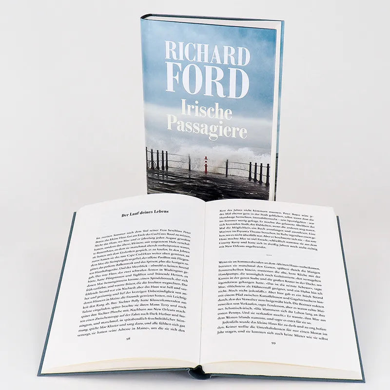 Richard Ford - Irische Passagiere