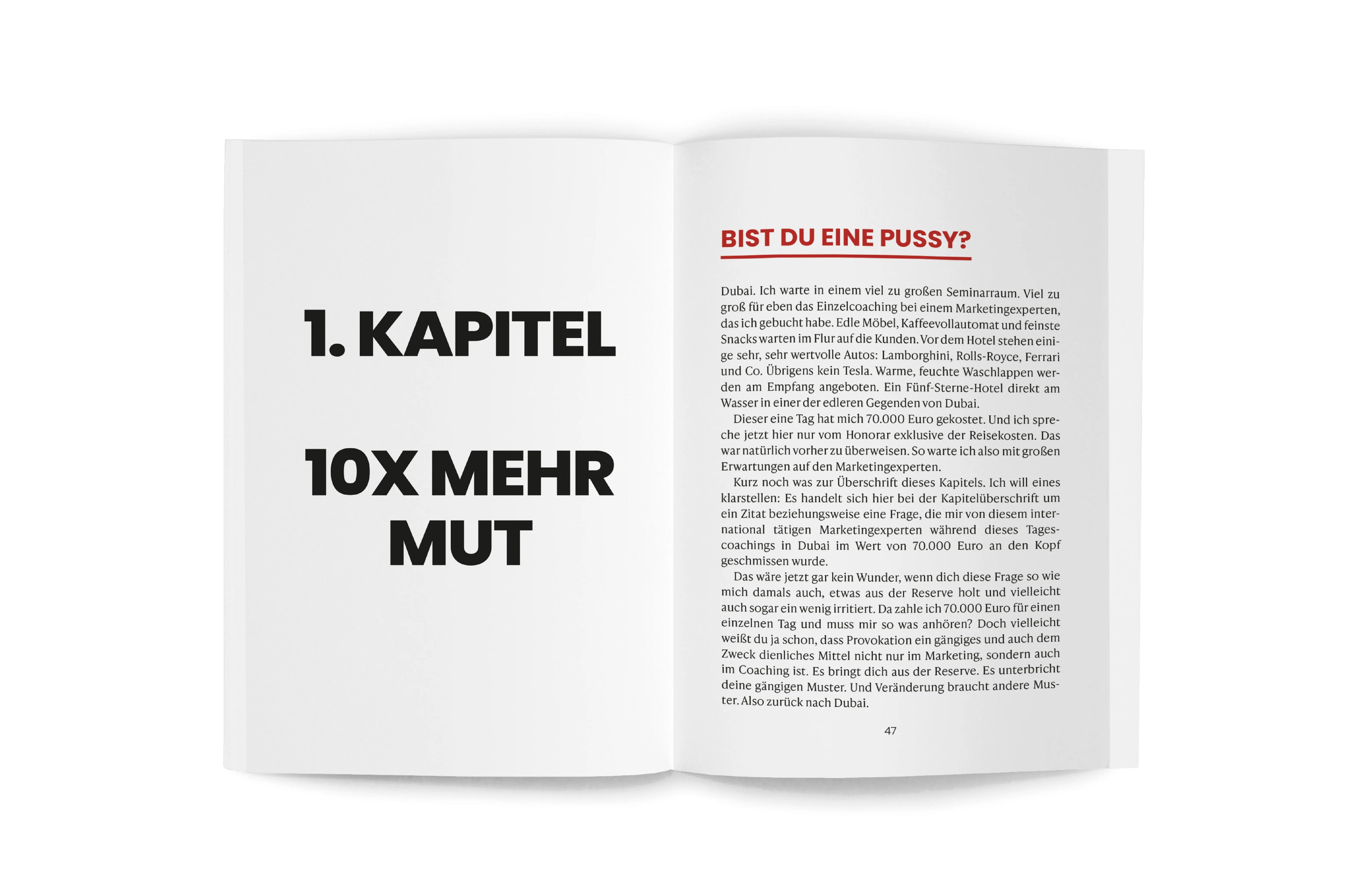 Detailansicht: Iron Mindset – Wie du mentale Stärke für ein erfolgreiches Leben entwickelst, Spiegelbestseller von Slatco Sterzenbach, 100x Prinzip für Erfolg, Leadership, Business Coaching, Disziplin, Fokus & Spitzenleistung (Taschenbuch)