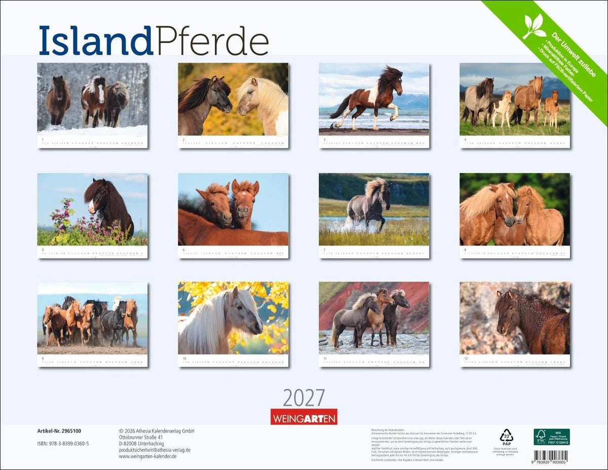 Islandpferde Kalender 2027 – Ansicht