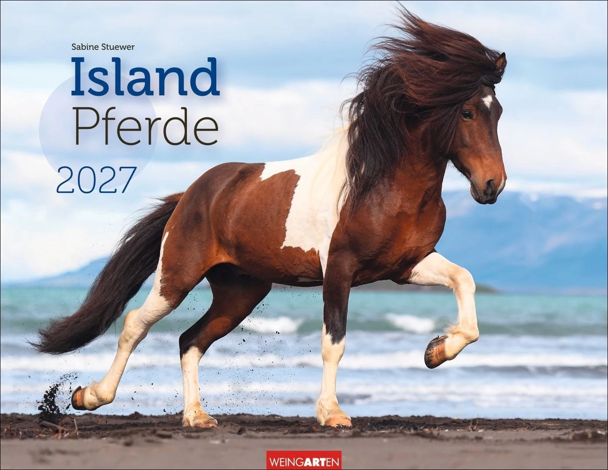 Wandkalender: Islandpferde Kalender 2027