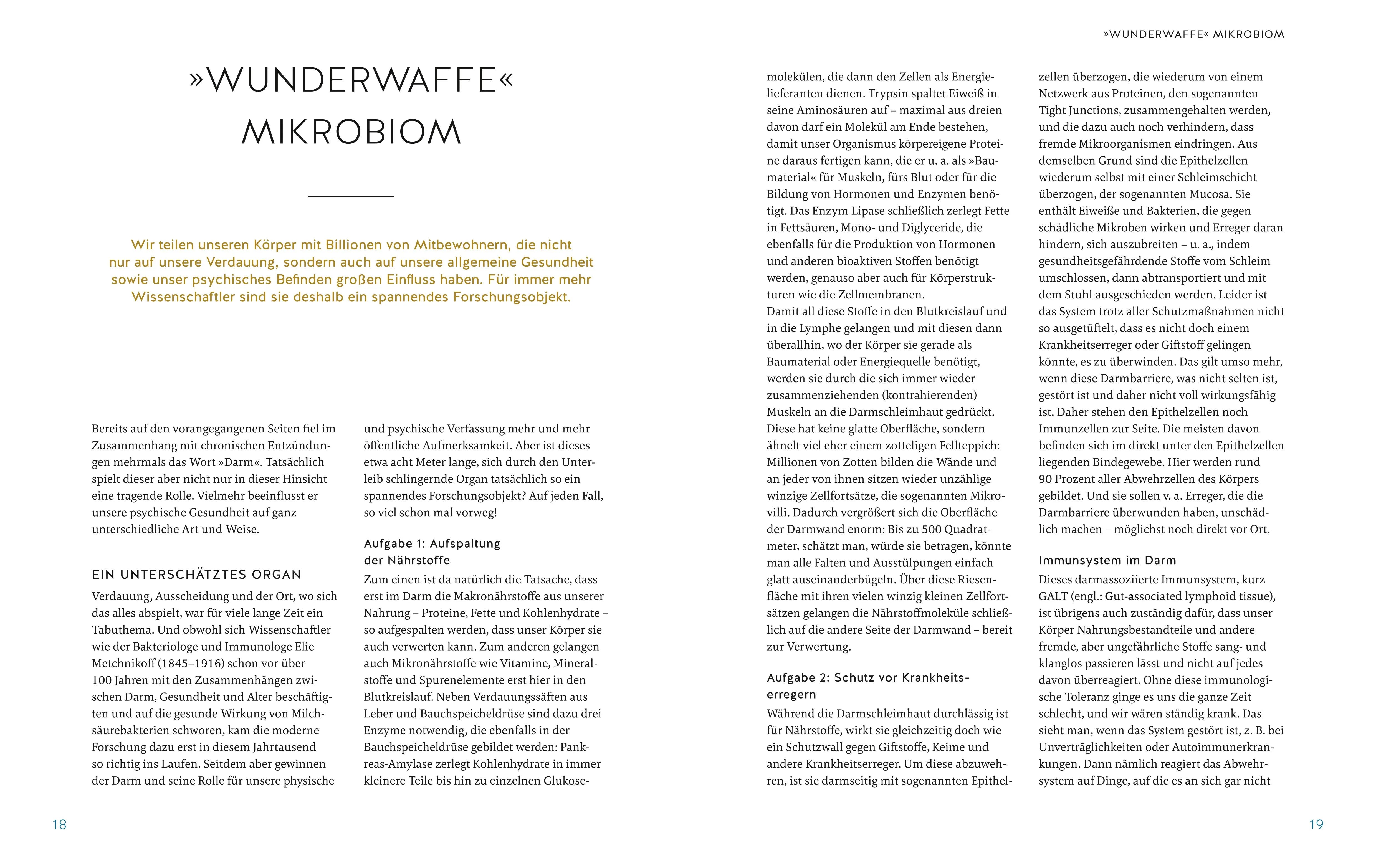 Produktansicht: Iss deine Psyche gesund (Gebundene Ausgabe)