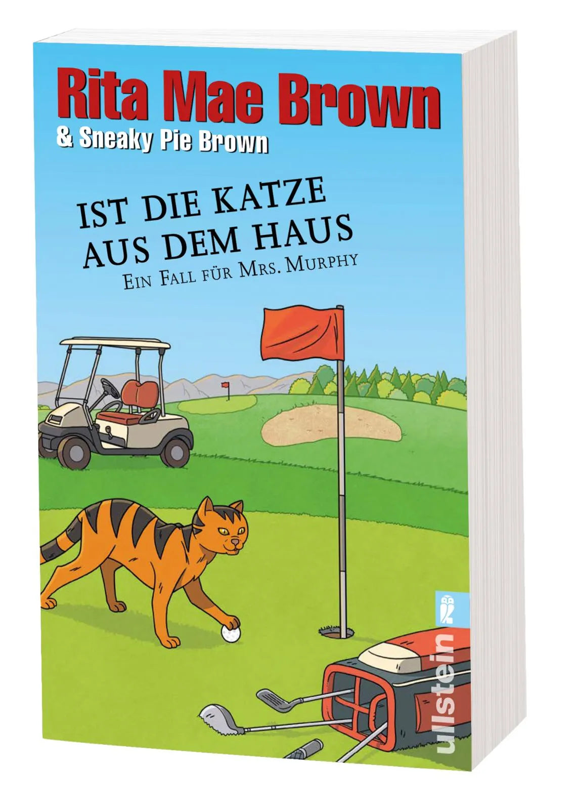 Produktansicht: Ist die Katze aus dem Haus (Taschenbuch)
