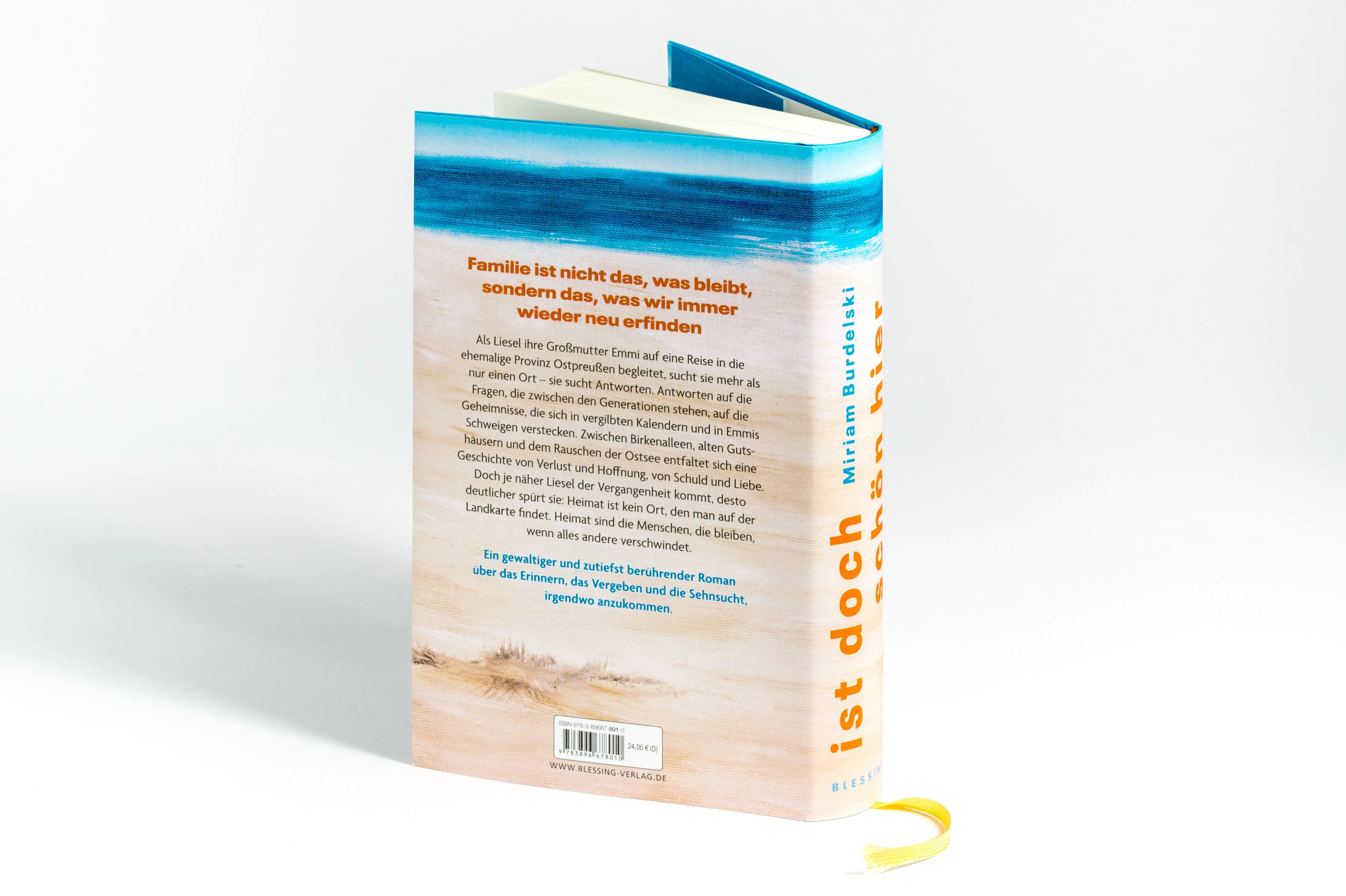 Detailansicht: Ist doch schön hier (Hardcover)