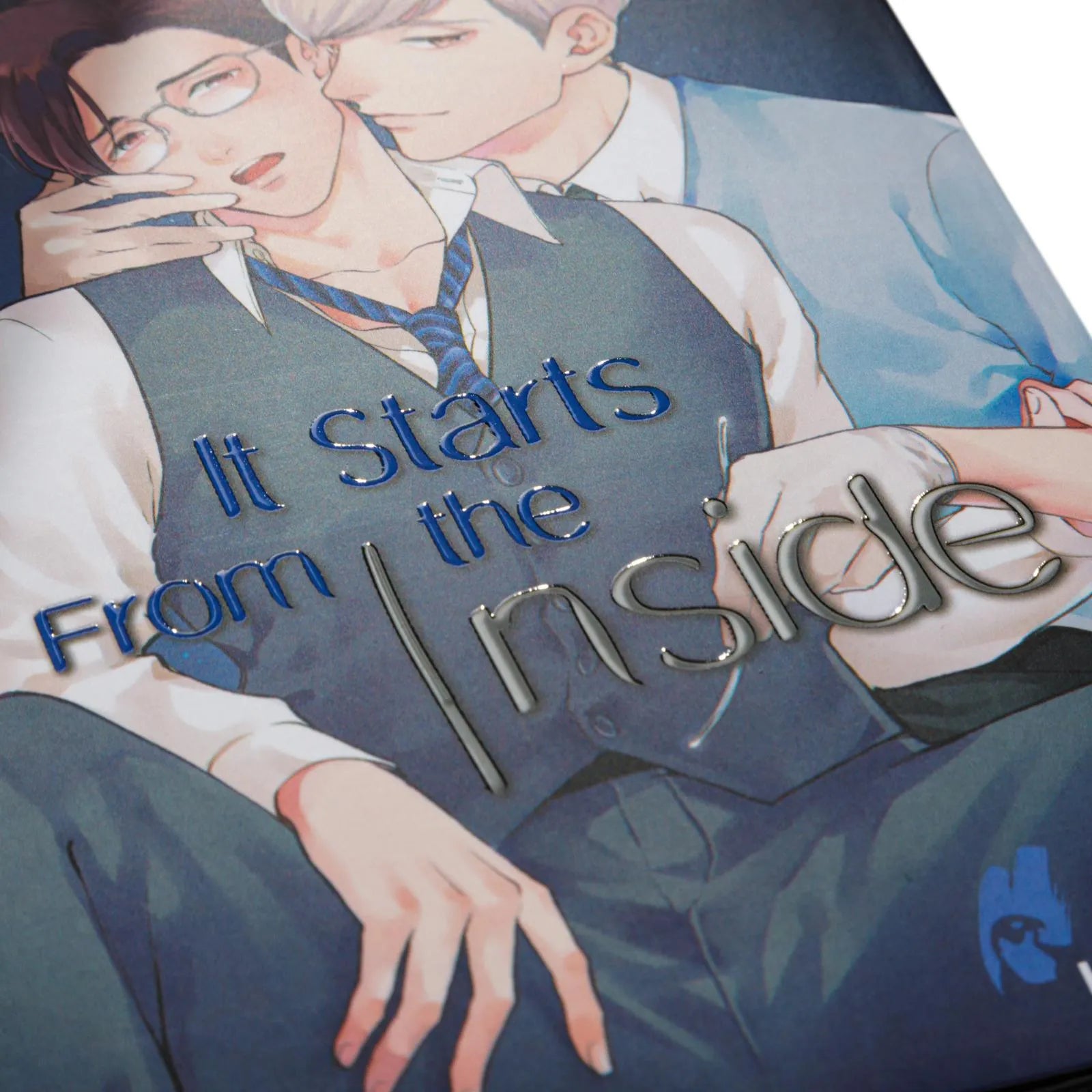 Produktansicht: It Starts From the Inside (Taschenbuch)