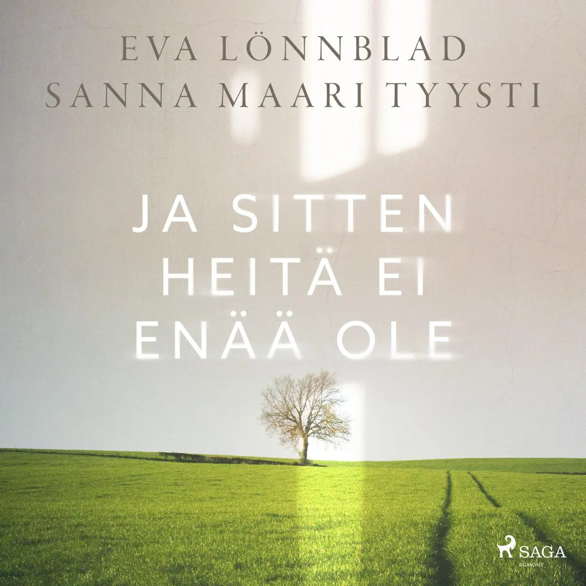 Cover: Ja sitten heitä ei enää ole (Hörbuch Download) von Sanna Maari Tyysti