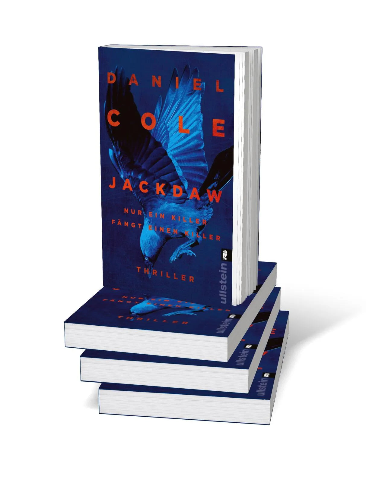 Abbildung von 'Jackdaw'