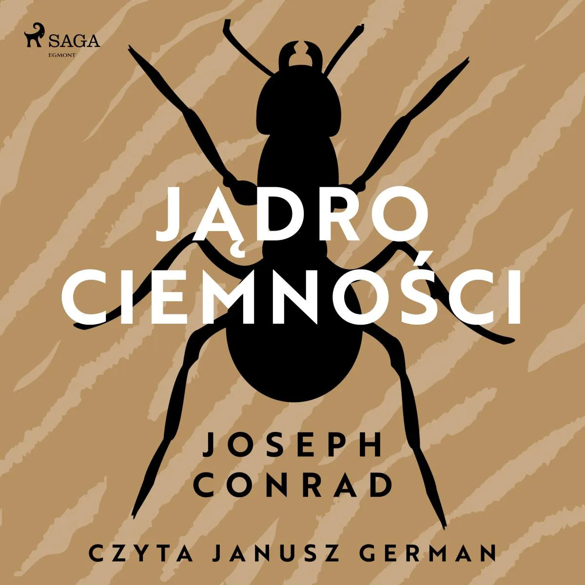 Cover: Jądro ciemności (Hörbuch Download) von Joseph Conrad