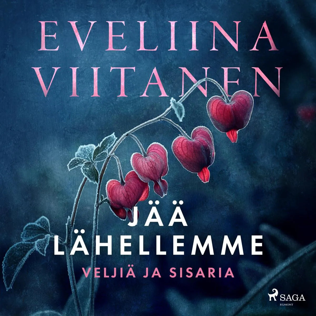 Cover: Jää lähellemme (Hörbuch Download) von Eveliina Viitanen