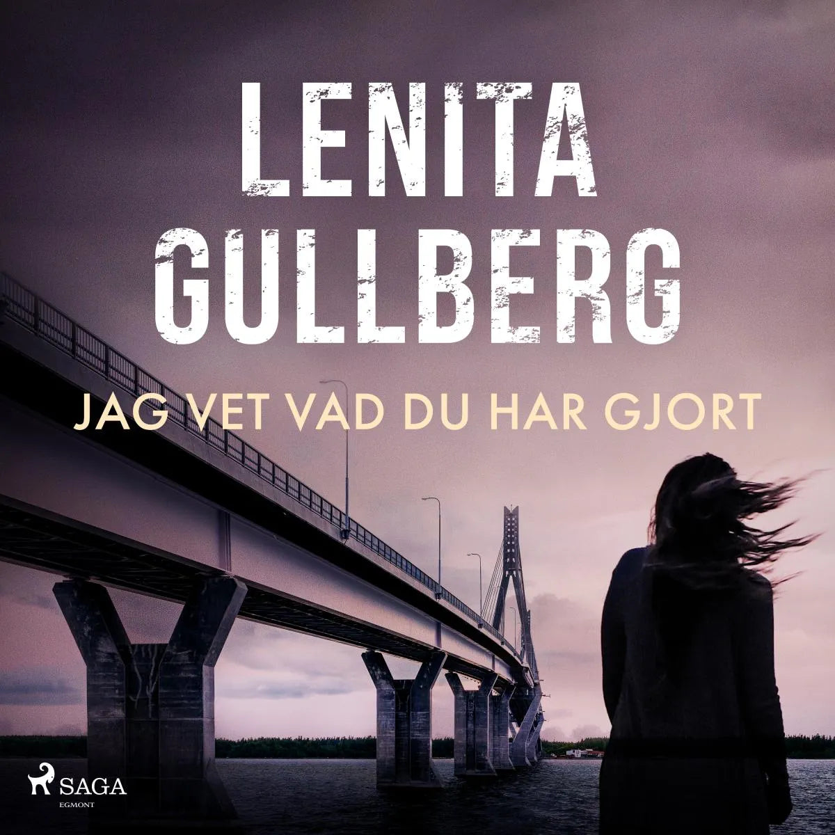 Cover: Jag vet vad du har gjort (Hörbuch Download) von Lenita Gullberg