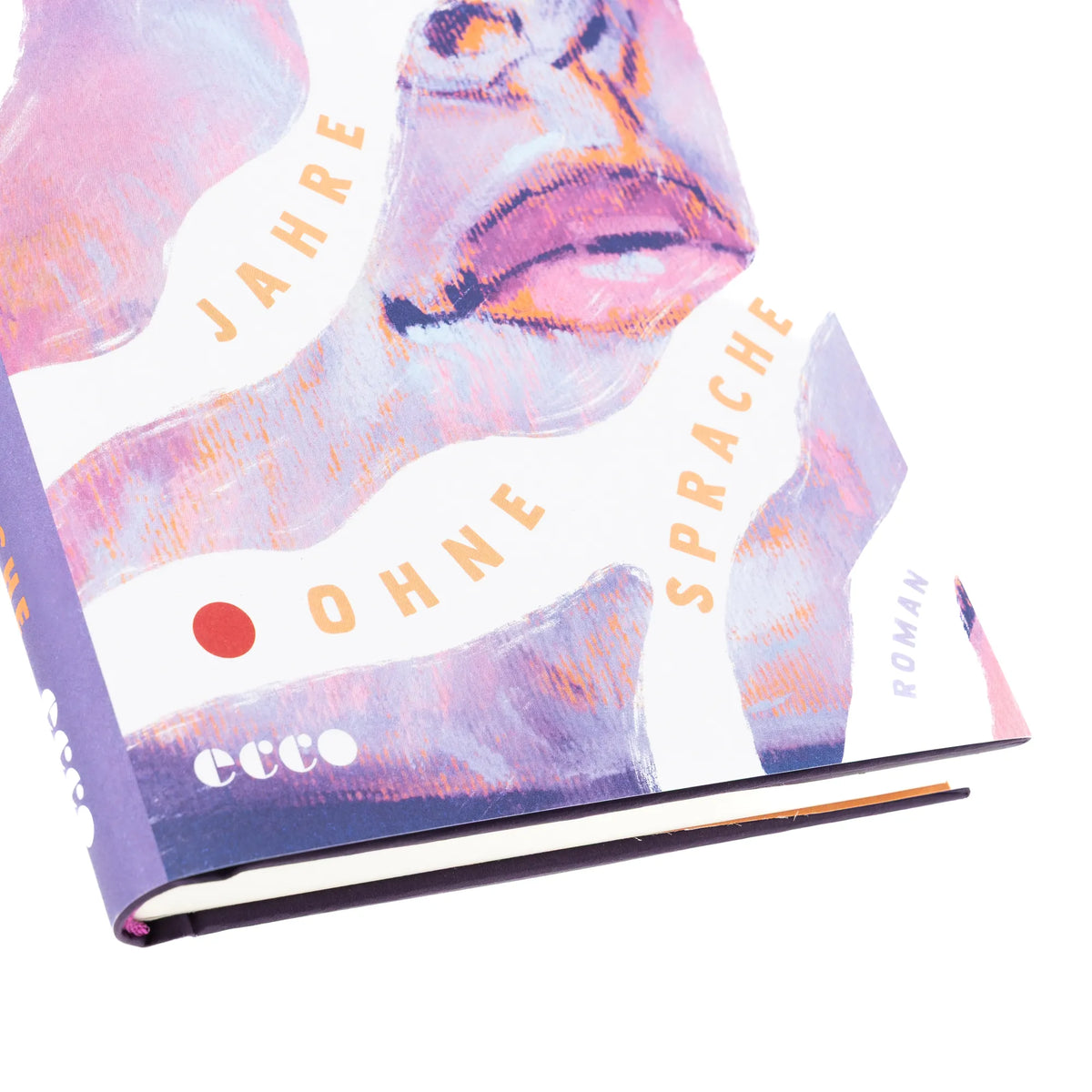 Produktansicht: Jahre ohne Sprache (Gebundene Ausgabe)