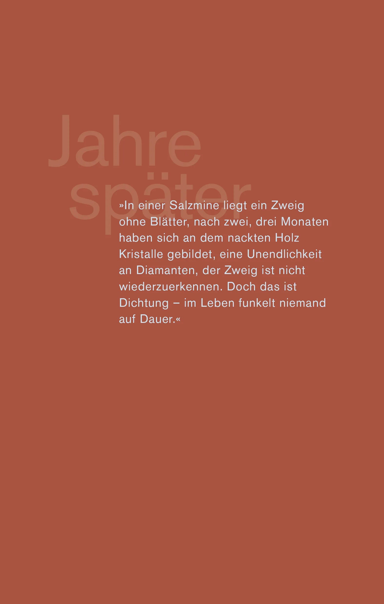 Buchrückseite von 'Jahre später' mit Klappentext - Gebundene Ausgabe
