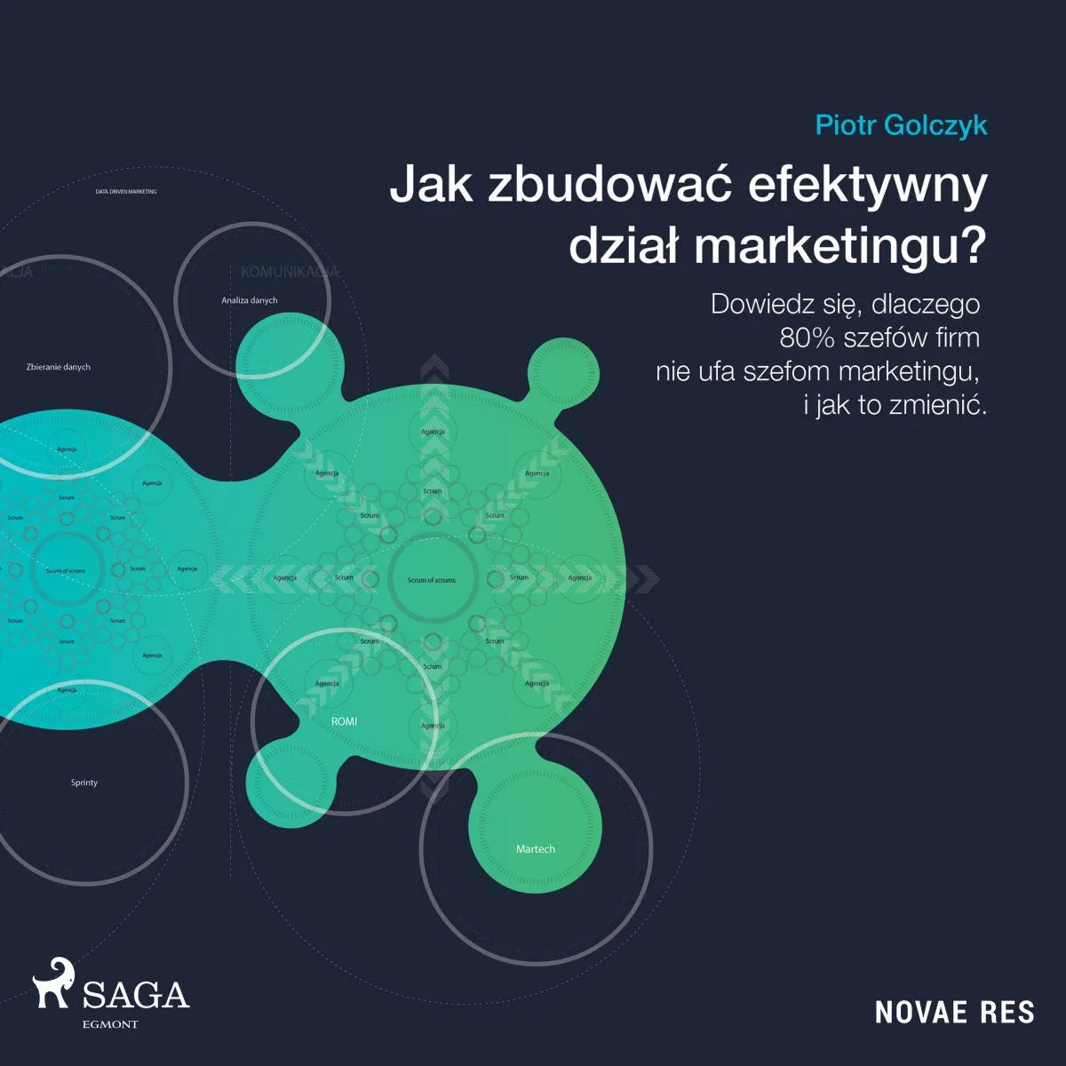 Cover: Jak zbudować efektywny dział marketingu? (Hörbuch Download) von Piotr Golczyk