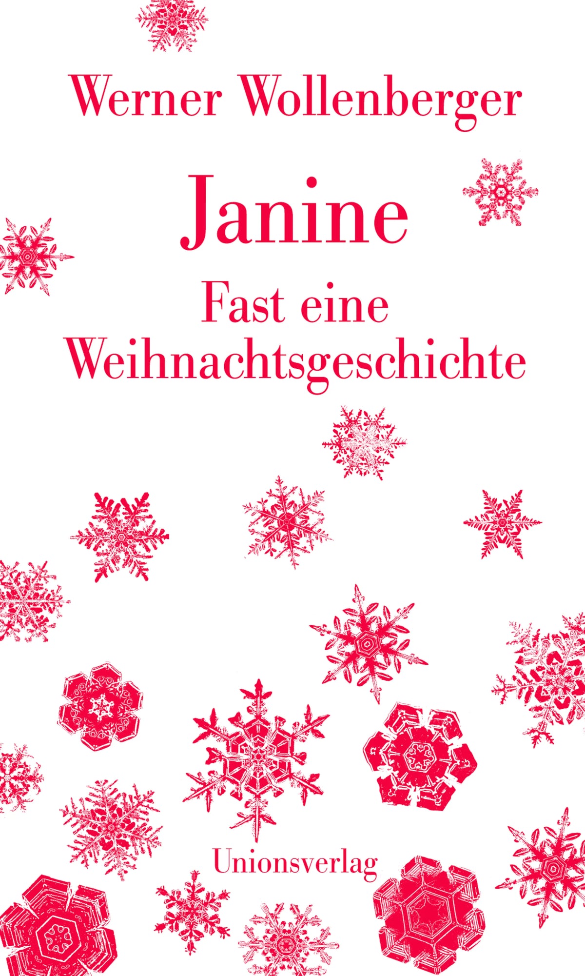 Buchcover von 'Janine – Fast eine Weihnachtsgeschichte' - Gebundene Ausgabe von Werner Wollenberger