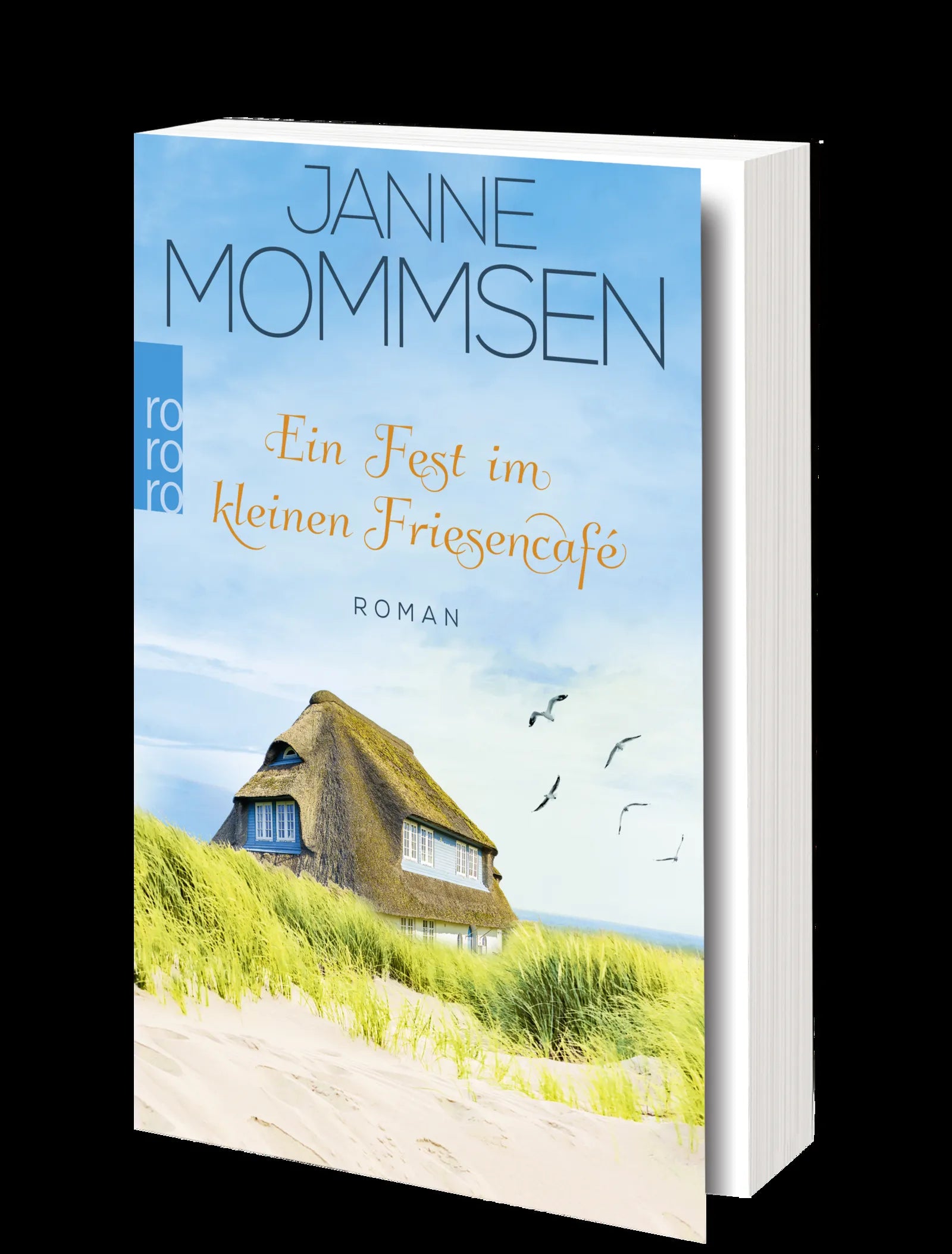 Produktansicht: Ein Fest im kleinen Friesencafé (Taschenbuch)