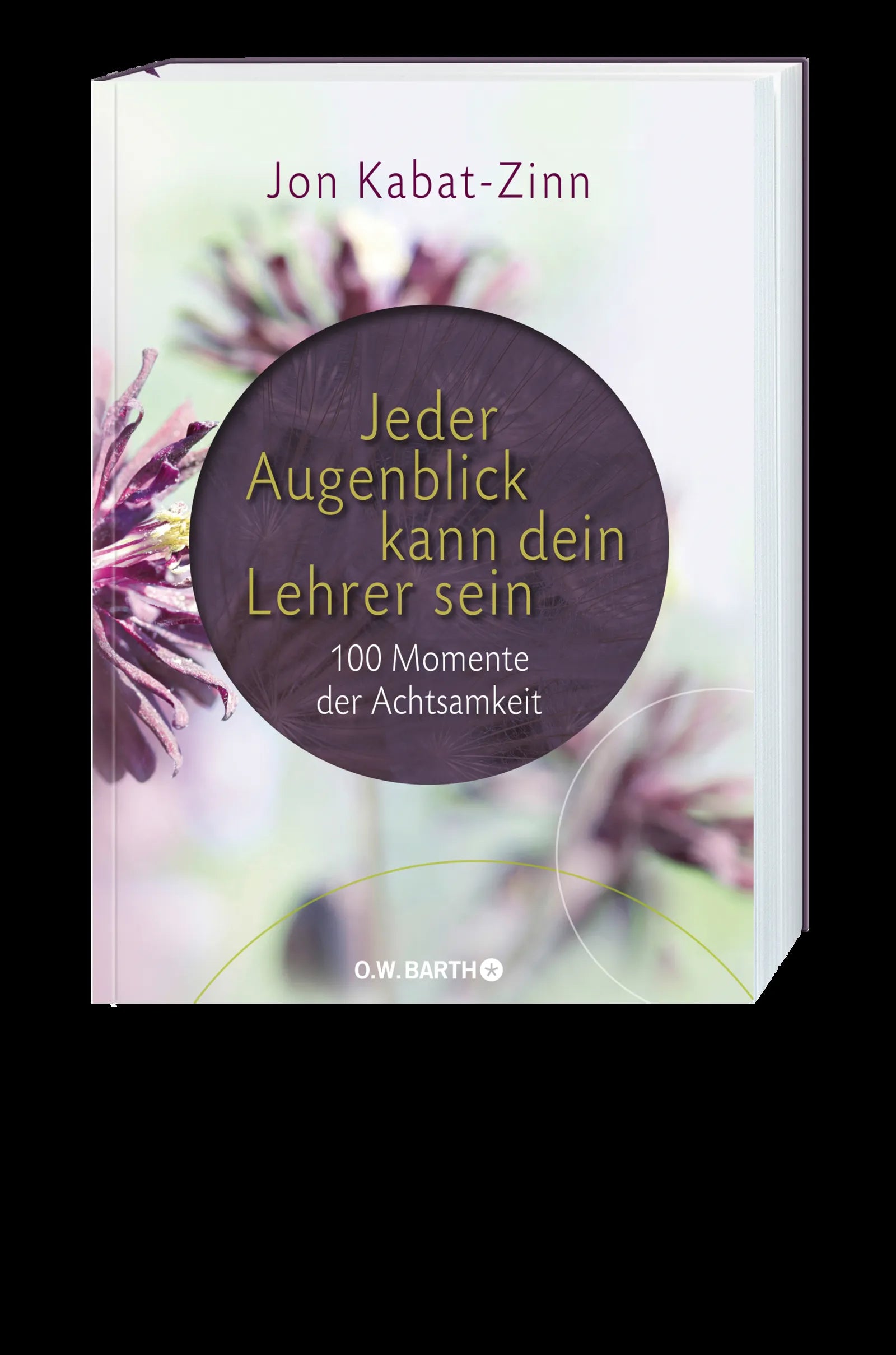 Jon Kabat-Zinn - Jeder Augenblick kann dein Lehrer sein