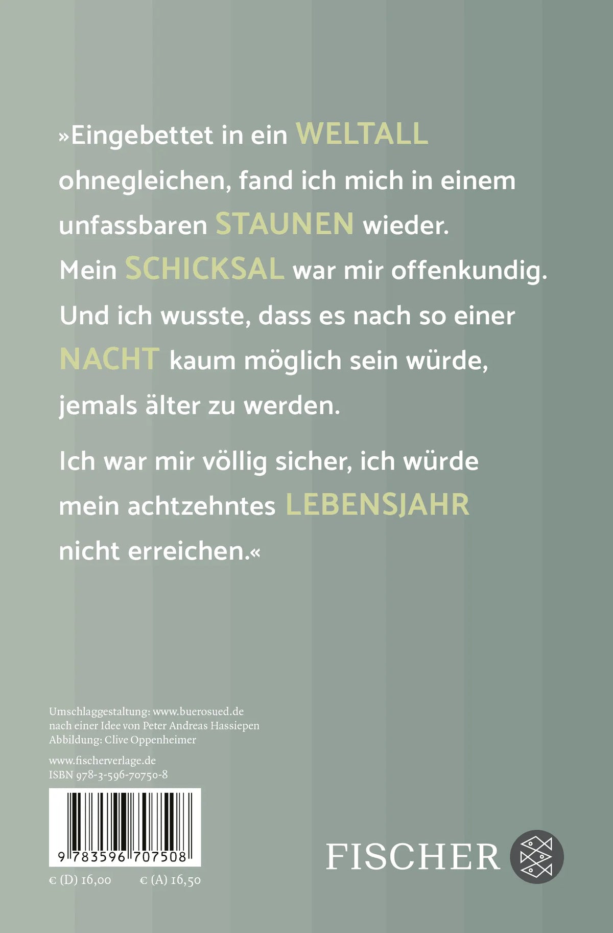 Rückseite: Jeder für sich und Gott gegen alle (Taschenbuch)