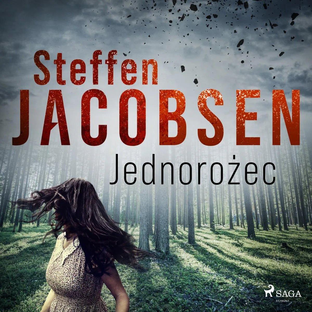 Cover: Jednorożec (Hörbuch Download) von Steffen Jacobsen