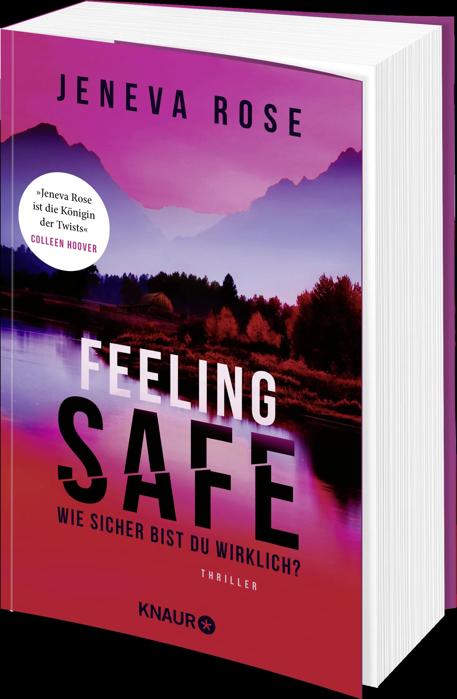 Produktansicht: Feeling Safe (Paperback)