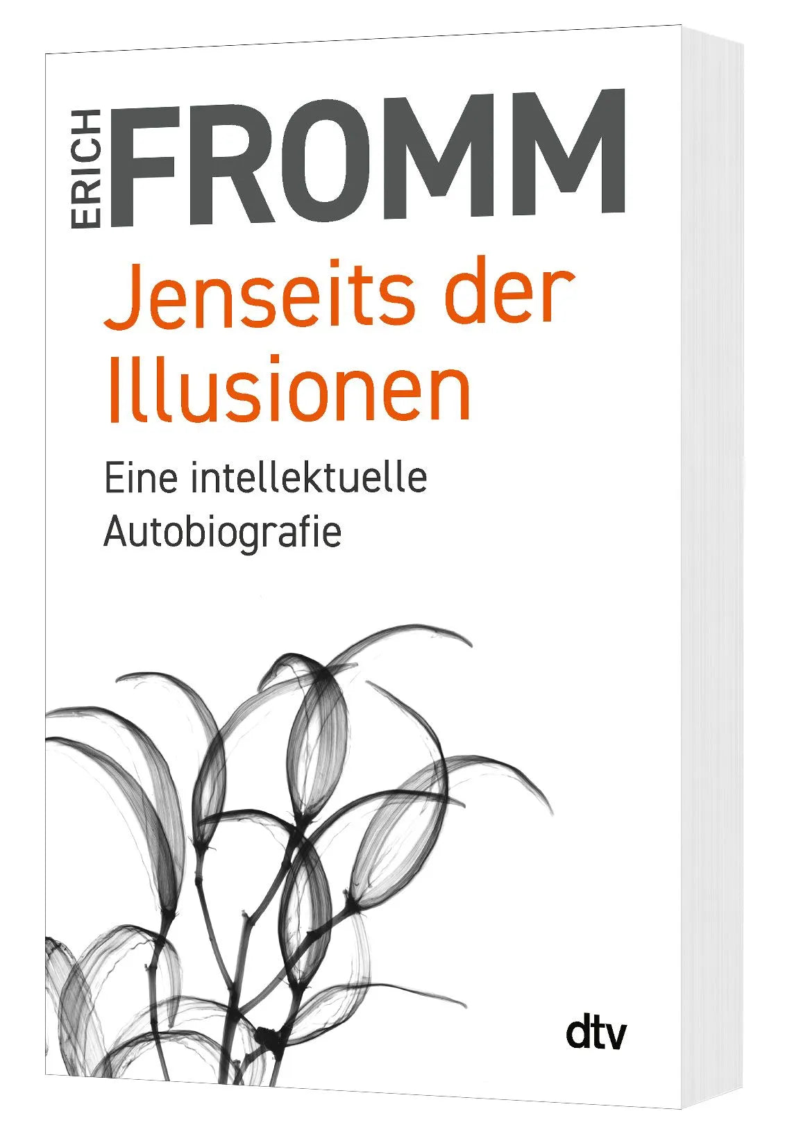 Detailansicht: Jenseits der Illusionen (Taschenbuch)
