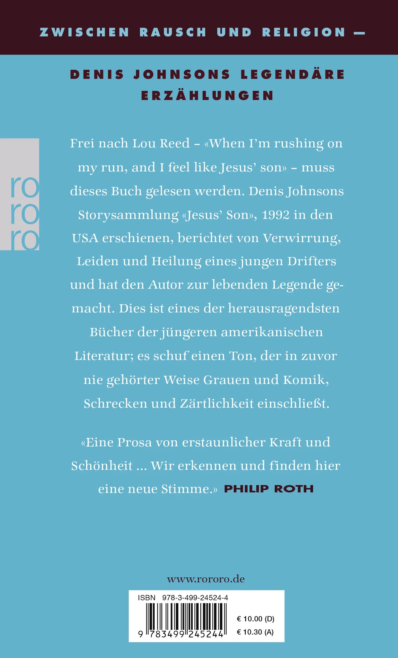 Buchrückseite von 'Jesus' Sohn' mit Klappentext - Taschenbuch